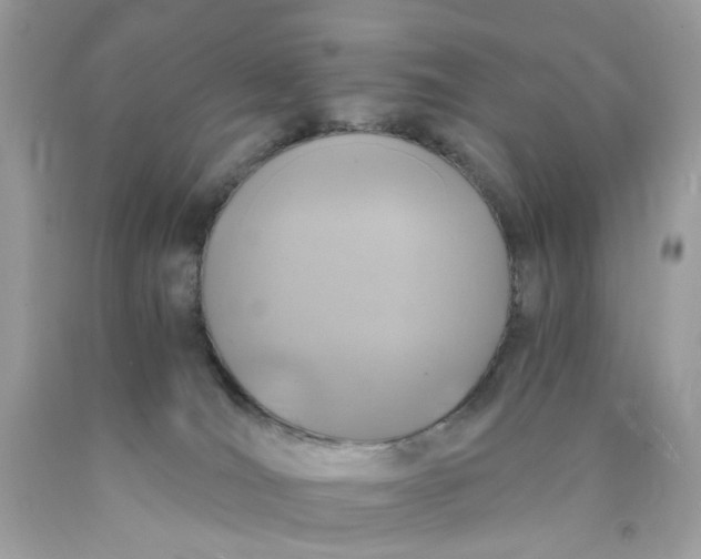 X0000089970036200707202020