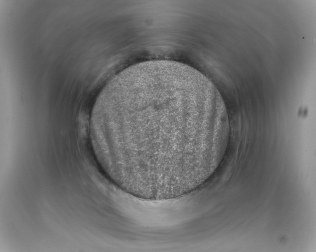 X0000089970038200707202020