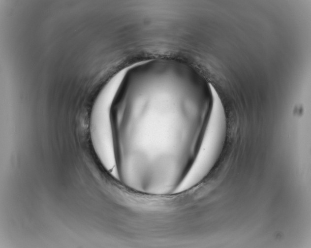 X0000089970040200707202020