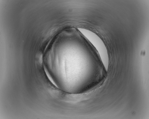 X0000089970041200707202020