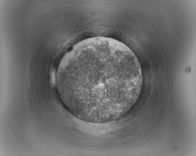 X0000089970042200707202020