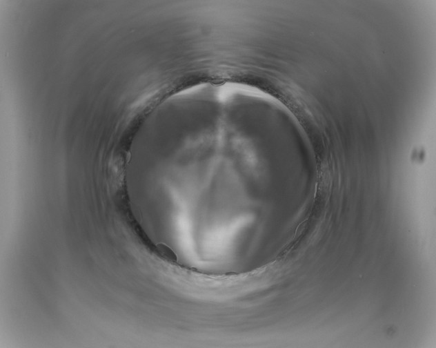 X0000089970043200707202020