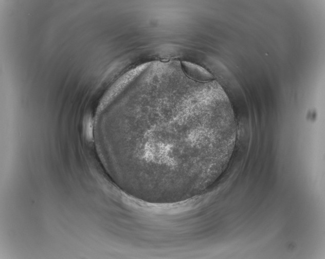 X0000089970046200707202020