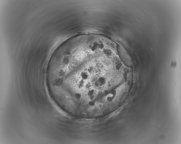 X0000089970049200707202019