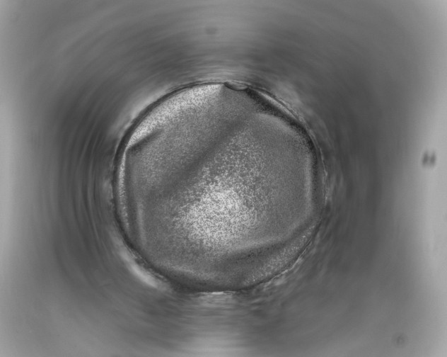 X0000089970050200707202019