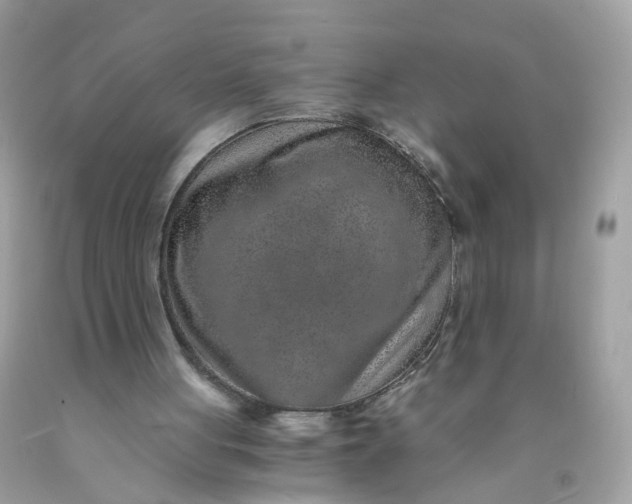 X0000089970051200707202019