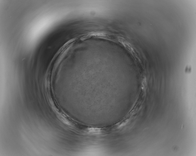 X0000089970052200707202019