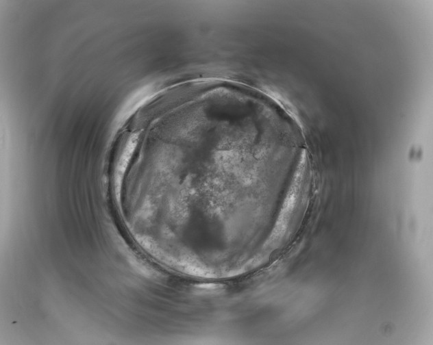 X0000089970053200707202019