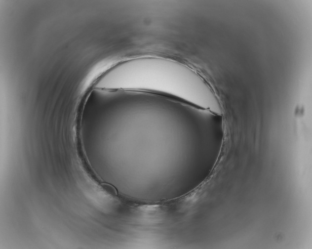 X0000089970054200707202019