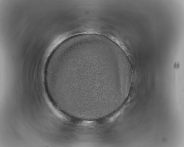 X0000089970055200707202019