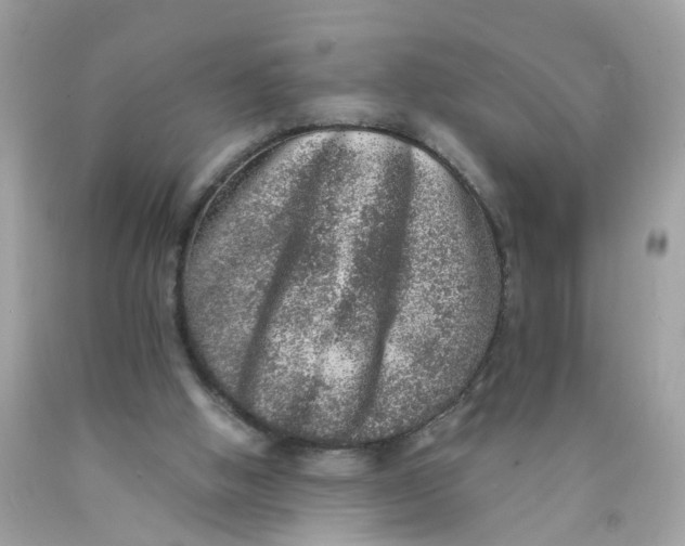 X0000089970058200707202019