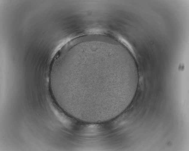 X0000089970059200707202019