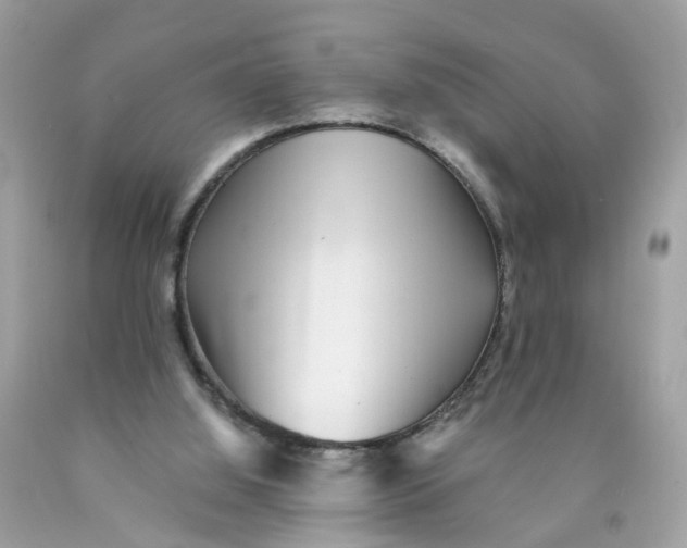 X0000089970060200707202019