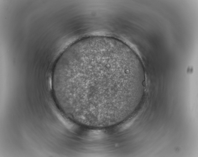 X0000089970061200707202019