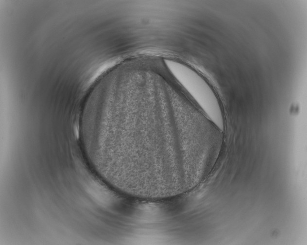 X0000089970062200707202019