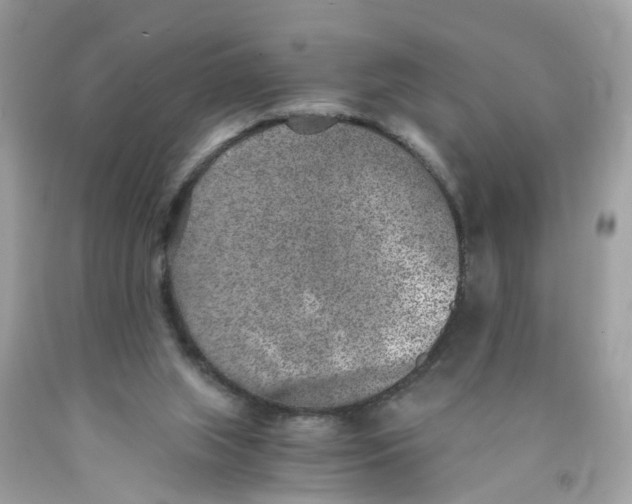 X0000089970063200707202019