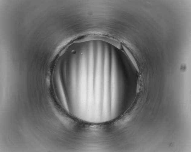 X0000089970064200707202019