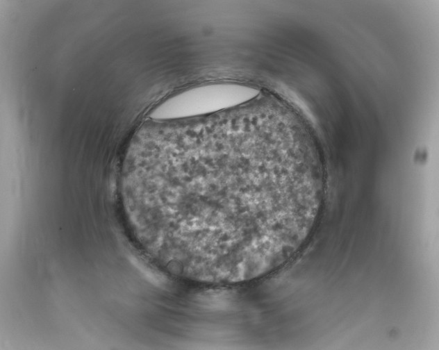 X0000089970065200707202019