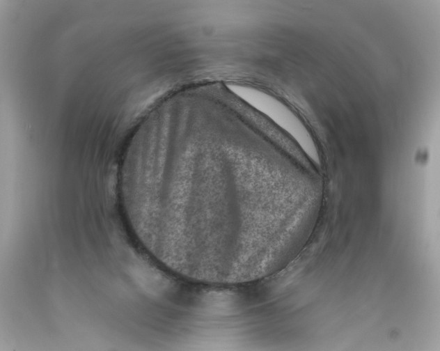 X0000089970066200707202019