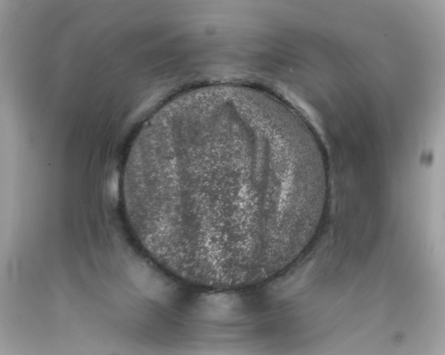 X0000089970067200707202020