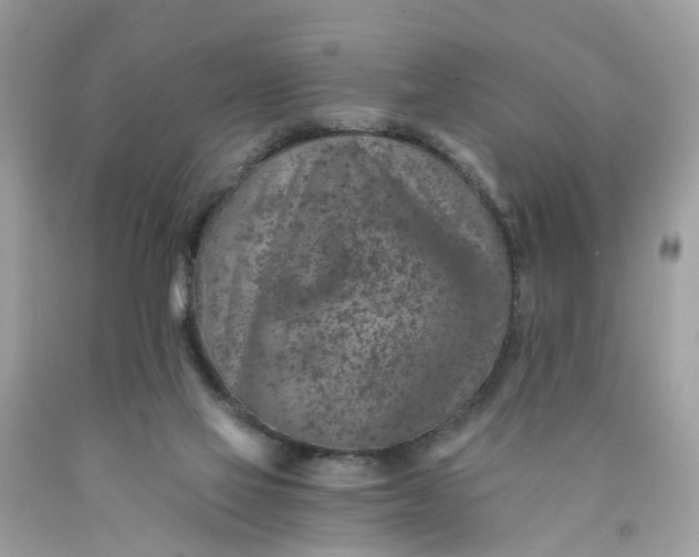 X0000089970069200707202020