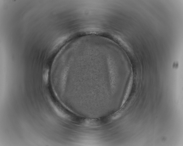 X0000089970070200707202020