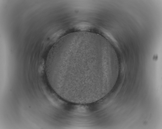 X0000089970073200707202020