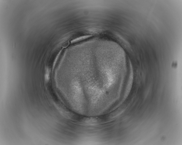 X0000089970075200707202020