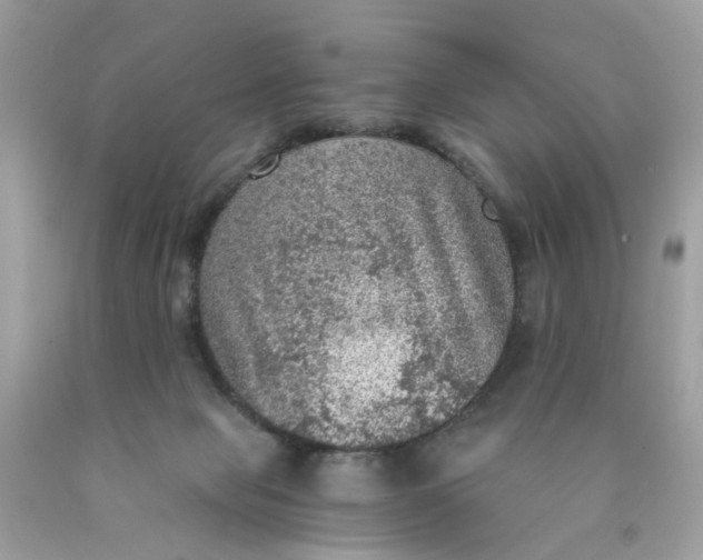 X0000089970077200707202020