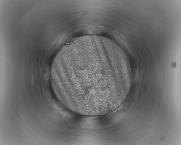 X0000089970078200707202020