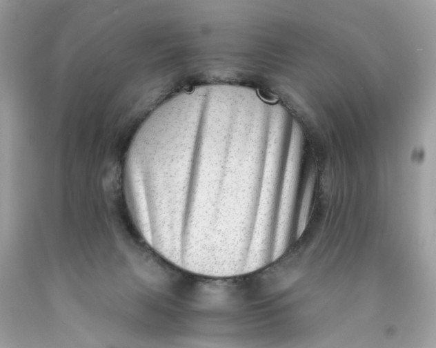 X0000089970079200707202020