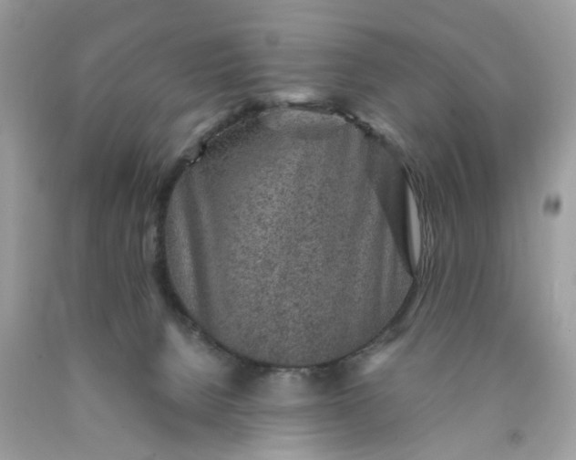 X0000089970080200707202020