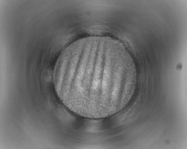 X0000089970081200707202020