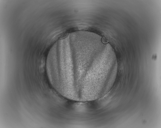 X0000089970082200707202020