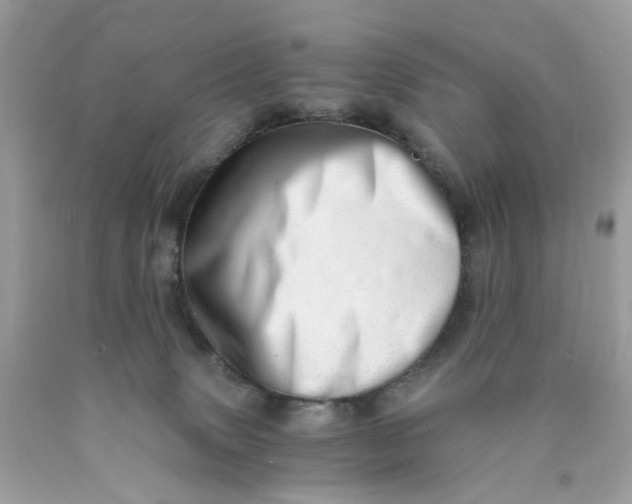 X0000089970083200707202020