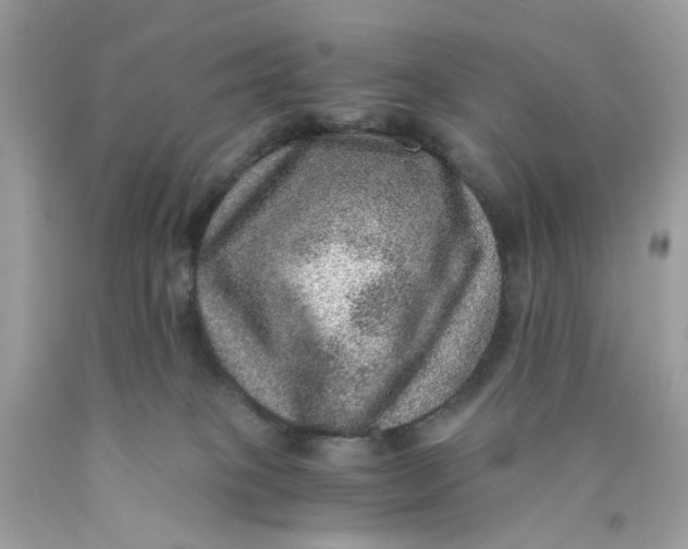 X0000089970085200707202020