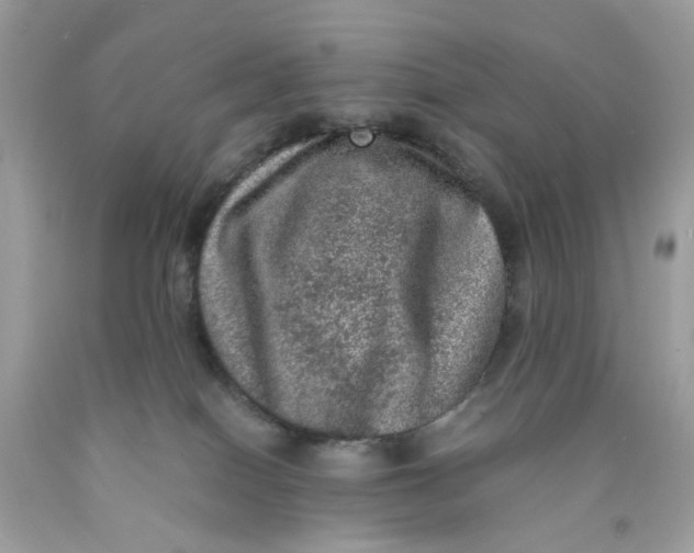 X0000089970086200707202020