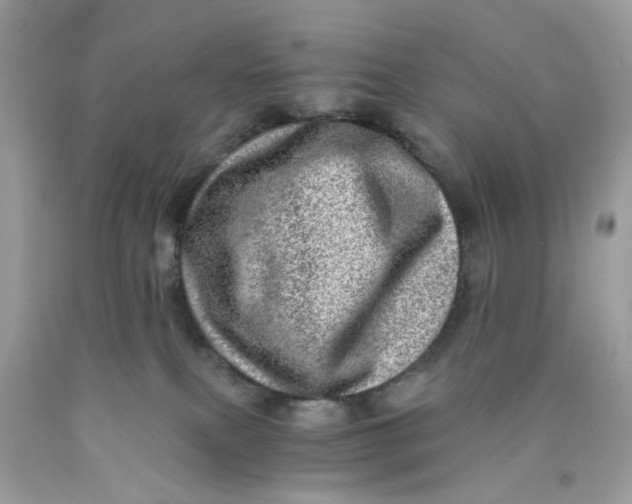 X0000089970087200707202020