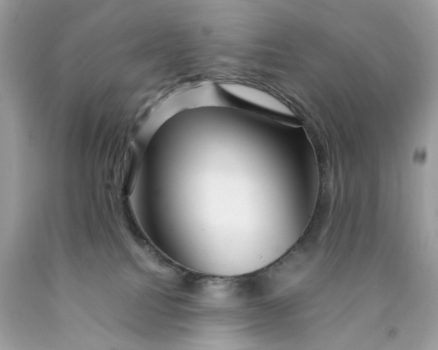 X0000089970088200707202020