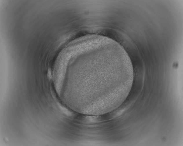 X0000089970089200707202020