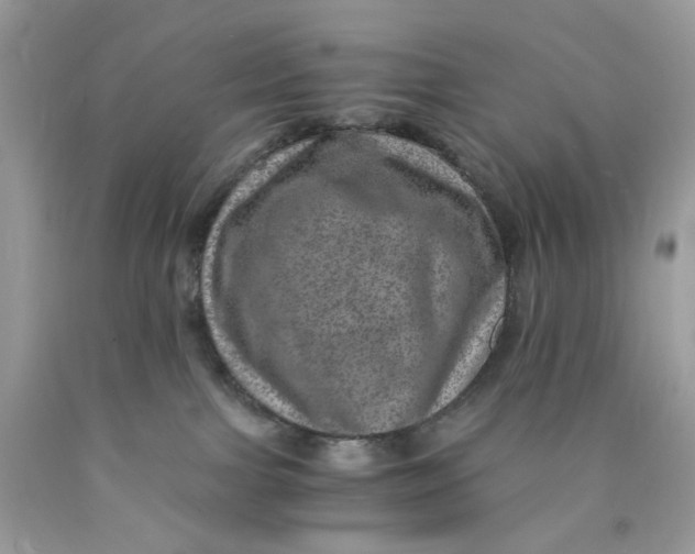 X0000089970091200707202020