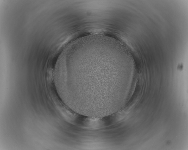 X0000089970093200707202020