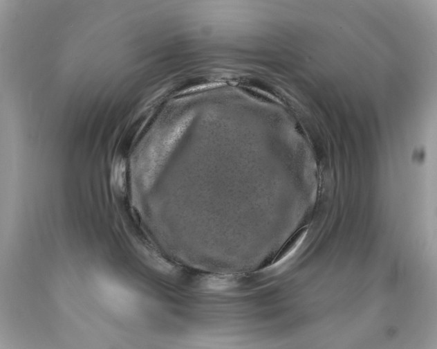 X0000089970094200707202020