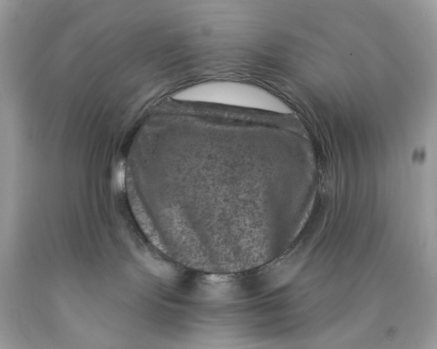 X0000089970095200707202020