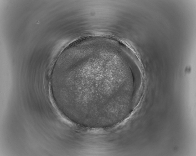 X0000089970097200707202019