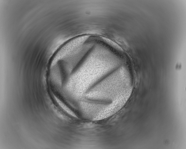 X0000089970098200707202019