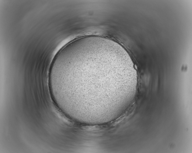 X0000089970100200707202019