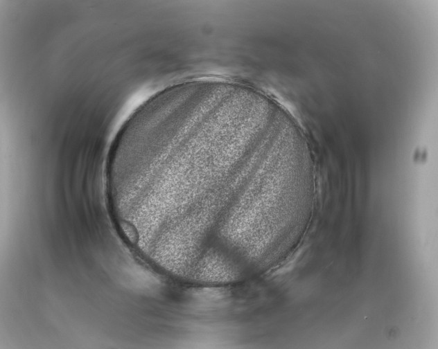 X0000089970102200707202019