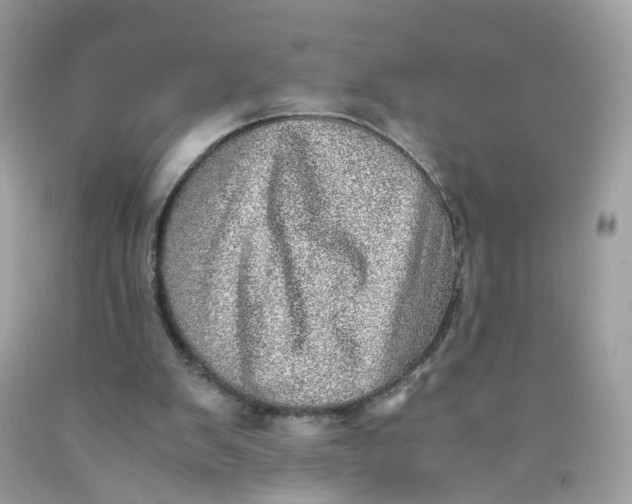 X0000089970103200707202019