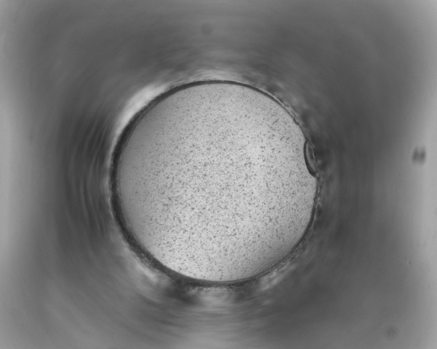 X0000089970104200707202019